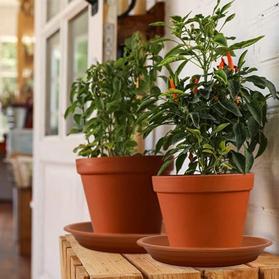 PLANTERS
