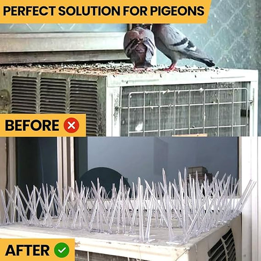 RRPLAST Bird Spike ()