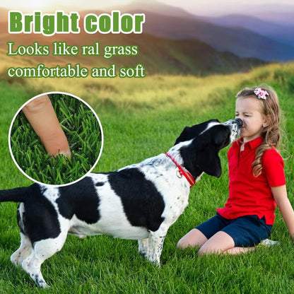 RRPLAST PP (Polypropylene) Door & Floor Mat (Green, Extra Large)