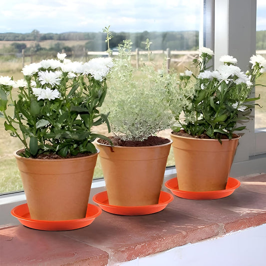 spyLove Flower Pot Saucer Base Plate Planter Tray 6 inch Terracotta Plant Container Set (Pack of 12, Plastic)